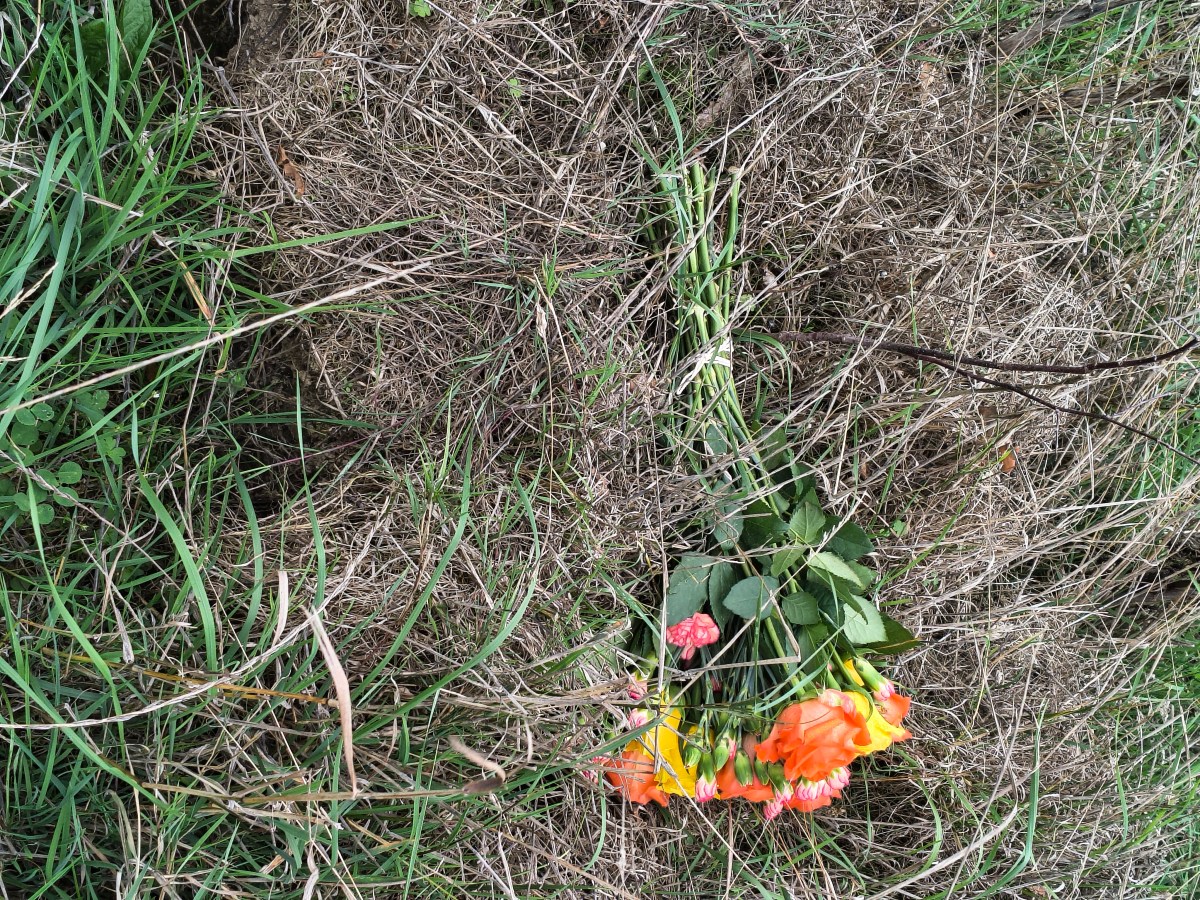 Visiting Dad’s Woodland Grave: A Quiet Day of Love and&nbsp;Memory